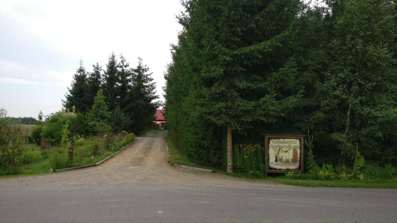 Agroturystyka Pod Czarna Sosna Bialy Lug Exterior foto