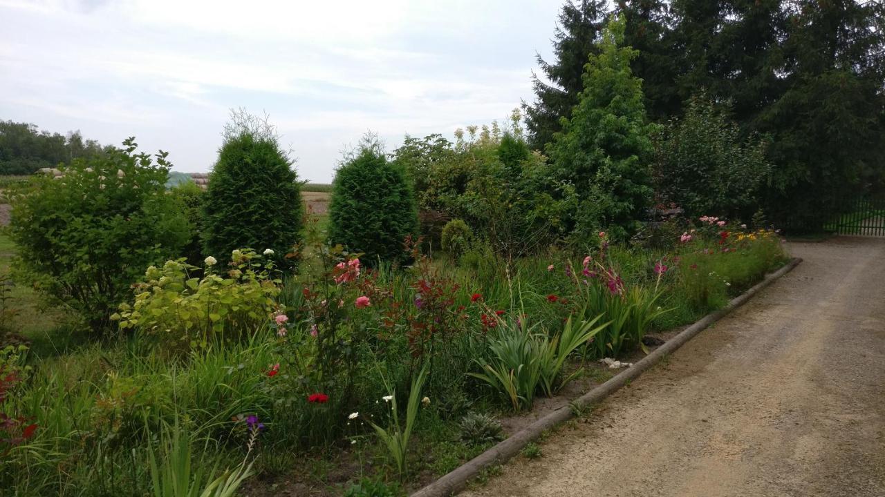 Agroturystyka Pod Czarna Sosna Bialy Lug Exterior foto