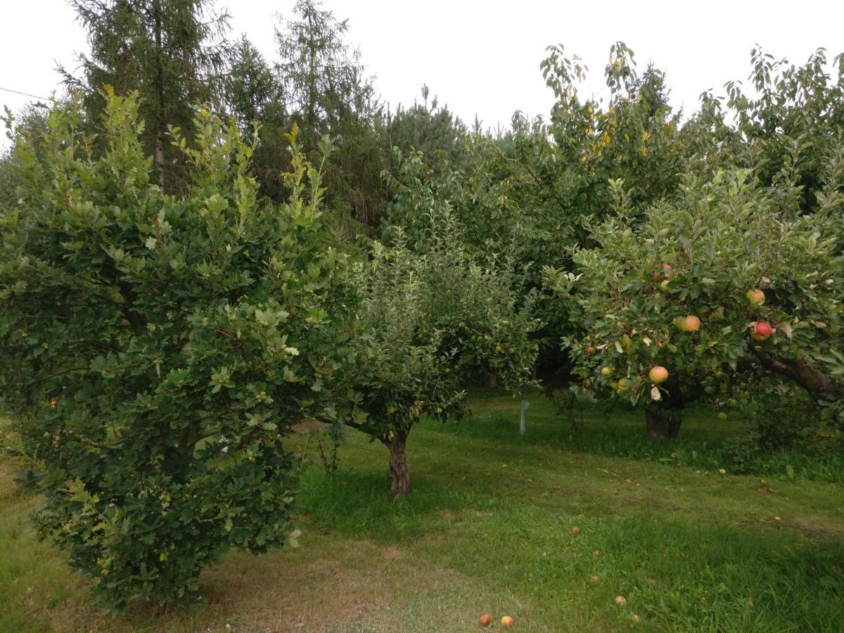 Agroturystyka Pod Czarna Sosna Bialy Lug Exterior foto